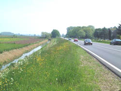 De   ' Boulevard of Broken Dreams '