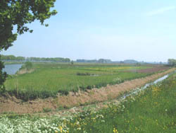 Particulier natuurherstel op het terrein van de heer Maertens