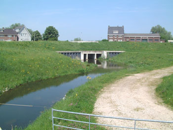 De herstelde ecologische verbinding tussen polder en de Waal