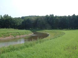 Ecologische verbinding