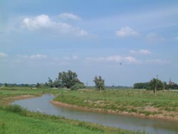 Ecologische verbinding