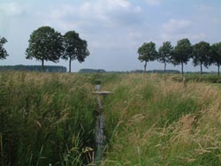 De ecologische verbindingszone 't Zwanenbroekje