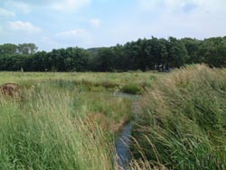 De ecologische verbindingszone 't Zwanenbroekje