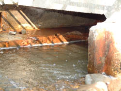 de ecotunnel