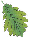 Ecologisch adviesbureau Hemmen